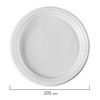 STIROLPLAST / Disposable flat plates, SET 100 pcs., D = 205 mm, ECONOMY, white, polystyrene (PS)