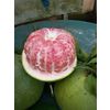 Pomelo (Citrus maxima, Citrus grandis)
