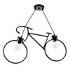 BayerLux / Pendant lamp "Scheldt" 2x40W