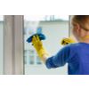 Window washing in St. Petersburg and the Leningrad region