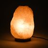 ERGOPOWER /  Salt lamp Ergopower ER 502