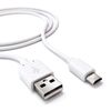 RED LINE / Charger network (220 V) NT-2A, microUSB cable 1 m, 2 USB ports, output current 2.1 A, white