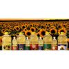 Sunflower oil "Golden edge" 1l.