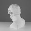 Мастерская Экорше / Plaster figure "Bust of Homer"