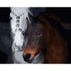 Опт-картина / Peinture par numéros 40x50 Paire de chevaux