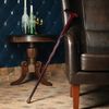 Сималенд / Souvenir cane 90 cm, handle dragon