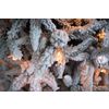 Fir-tree snow-covered light "Classic" premium