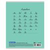 BRAUBERG / Cuaderno 24 a. Línea "ECO", cubre papel estucado grueso, VERDE PASTEL / 20 uds.