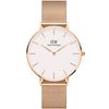 Daniel Wellington / Petite Saatler DW00100305
