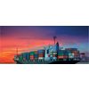 International sea transportation of goods