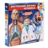 Играем вместе / Giochiamo insieme / Play set "Organi umani interni"