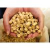 Pellets in polypropylene bags