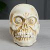 Керамика ручной работы / Piggy bank "Skull"