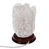 Ваше здоровье /  Salt lamp "Small tulip"