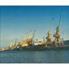 Design of ports, refrigeration, fish breeding and fish processing enterprises