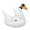INTEX / Swan Swimming Raft