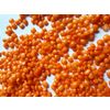 Lentils red