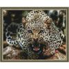 Опт-картина / Khảm kim cương 40x50, kim cương tròn Báo gấm