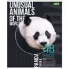 HATBER / Notebook А5 48 p. -ECO, bracket, cage, cardboard cover, "Animals" / 10 pcs.