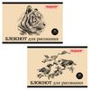 ПИФАГОР / Zeichenblock "Wild World" 2 Sorten, 40 Blatt A4, 200x285 mm, Heftklammer, Offset-Einband, quer