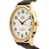 Q&Q / Reloj de pulsera japonés Casual C214J104Y