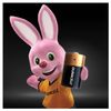 DURACELL / Batteries Basic D (LR20, 13A) alkaline, SET 2 pcs. in blister