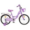 GRAFFITI / Premium Girl Bicycle