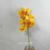 Kaemingk / Artificial flower Orchid Queen Eloise 71 cm