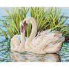 Опт-картина / Peinture par numéro CAKADU 40x50 Swan paire