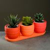 Хорошие сувениры / A set of pots with a tray "Kiro"