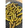 Pickled gherkins