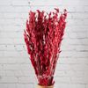 Kaemingk / Dried flowers for floristry Oats 50 cm red