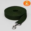 Пижон / Dude / Leash 5 mx 2.5 cm, green