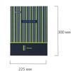 BRAUBERG / Notebook on rings LARGE FORMAT (225x300 mm) A4, 100 sheets, cardboard cover, cage, glossy lamination, "Stripes" / 5 pcs.