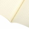 BRAUBERG / Notebooks 40 l. point to point cover SoftTouch, SET 3 pcs., beige paper 70 g / m2, stitching, А5 (147х210 mm), MASTERPIECE