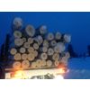 Birch logs