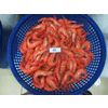 Black Tiger Shrimp (Penaeus monodon)