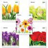 BRAUBERG / Notebook A5, 96 sh., ECO, cage, cardboard cover, FLOWERS / 14 pcs.