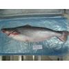 Frozen Whole Pangasius