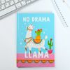 ArtFox / Gift set "NO DRAMA LLama" diary + thermo glass