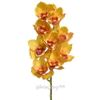 Kaemingk / Artificial flower Orchid Queen Eloise 71 cm