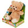 Мульти-Пульти / Multi-Multi / Musical soft toy "Teddy bear"