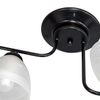 ПЕТРАСВЕТ / PETRASVET / Ceiling chandelier S2416-2, 2xE27 max. 60W