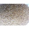 Wheat (grain)