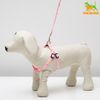Пижон / Conjunto "Pés coloridos", largura 1 cm, guia 120 cm, arnês 20-30 cm, rosa