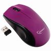 GEMBIRD / Wireless mouse GEMBIRD MUSW-320-P, 2 buttons + 1 wheel-button, purple