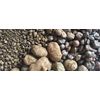 Expanded clay fr. 10-20 (M250 P25)