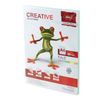 CRÉATIF / Papier A4 couleur, 80 g/m2, 100 feuilles, vert pastel