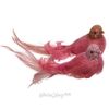 Kaemingk / Noel ağacı oyuncağı Damiano Bird - Ahududu İncisi 18 cm, klips