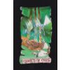 GamesDealer / Tarot Cards: "Kabbalistic Visions"
